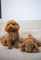 Jas & Mika Baloo Bamse Limited